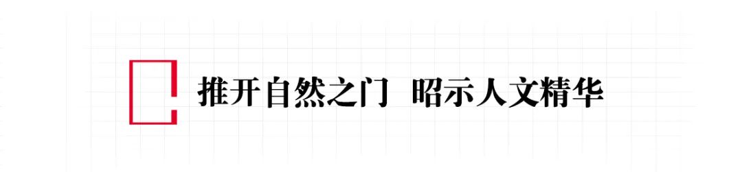 救命，这些食物的名字到底是谁起的啊！