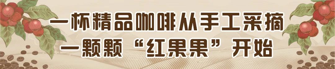 暴涨超300%！云南这一物飙升↗
