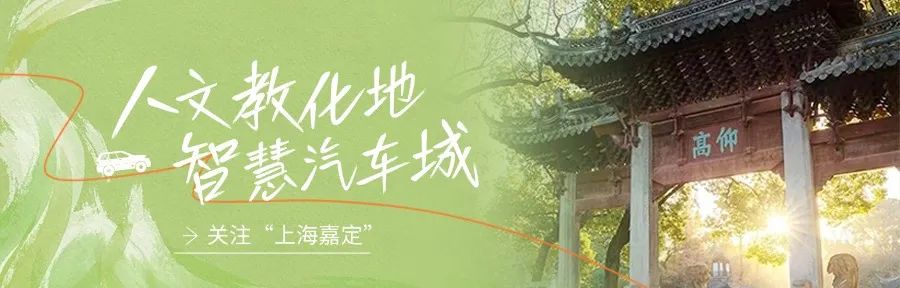 美食厨房丨枇杷炖肉汁