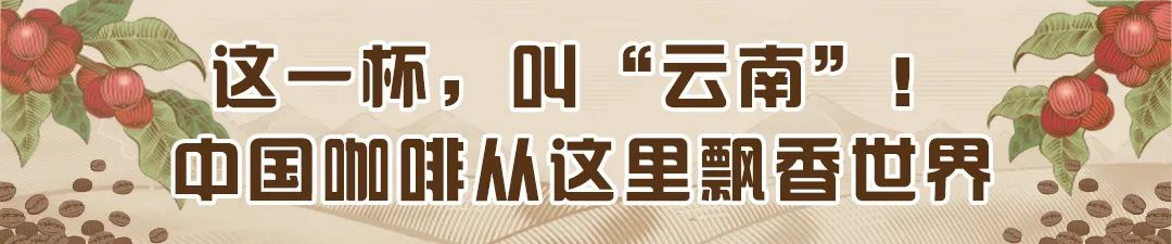 暴涨超300%！云南这一物飙升↗