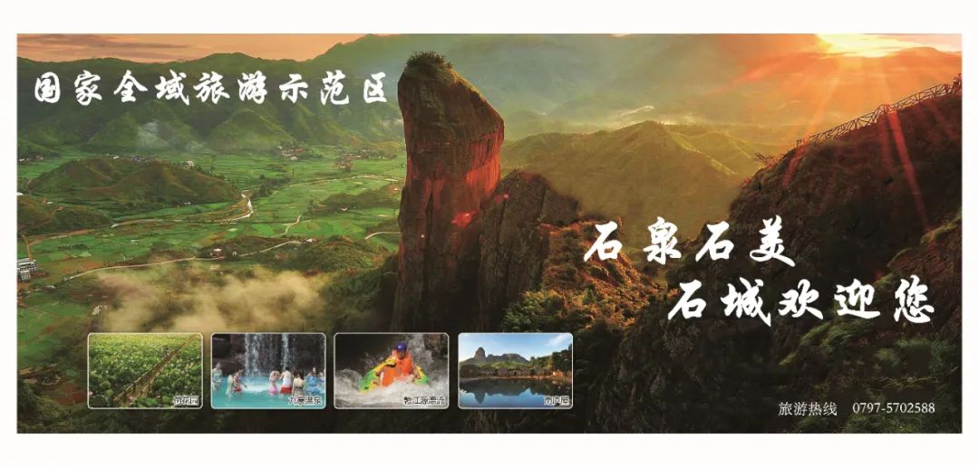 不负春光，紫藤花开