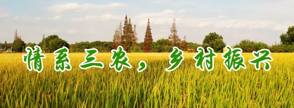三夏農(nóng)業(yè)生產(chǎn)用油優(yōu)惠5%！農(nóng)機(jī)作業(yè)服務(wù)熱線公布！