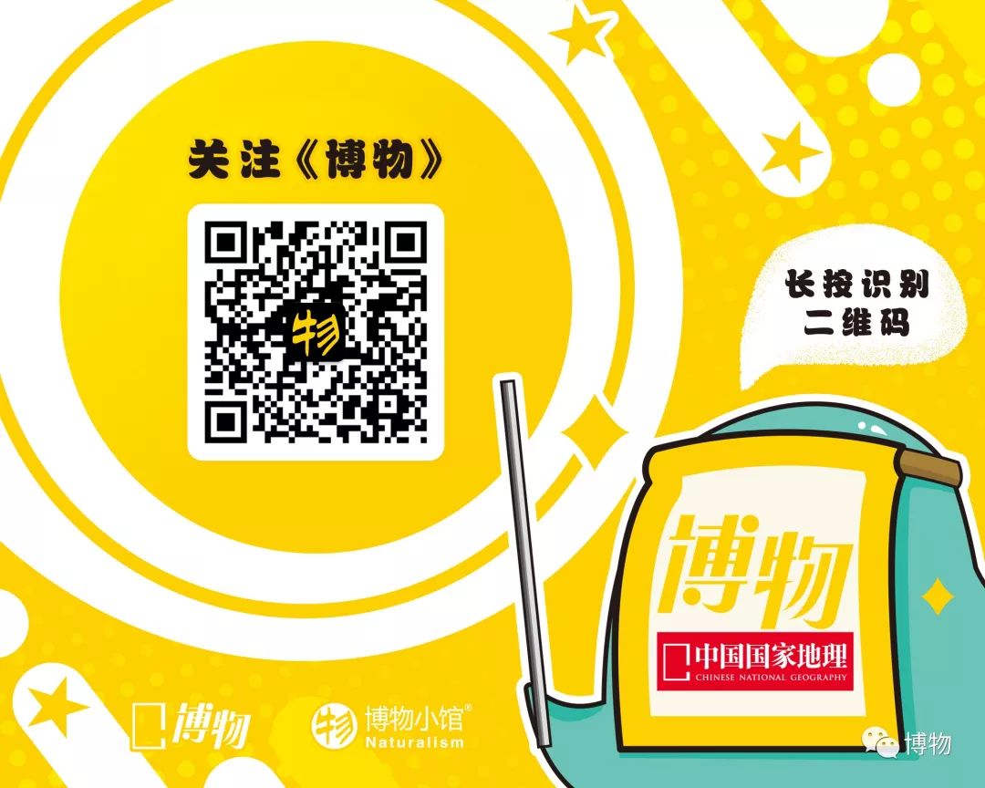 荐号 | 提升朋友圈质量，从关注这几个公众号开始