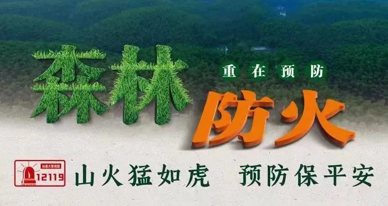 二胎准生证图片,二胎准生证图片 样本
