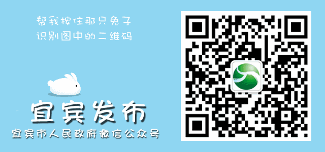 二胎准生证图片,二胎准生证图片 样本