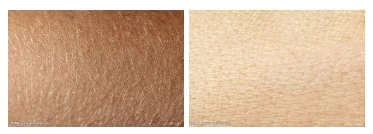 资生堂旗下「贵妇品牌」！花了上万块，告诉你CPB哪款值得买