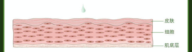 资生堂旗下「贵妇品牌」！花了上万块，告诉你CPB哪款值得买