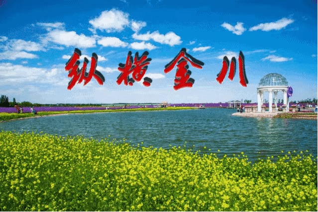 金川区美术馆2022年书画培训班招生啦！