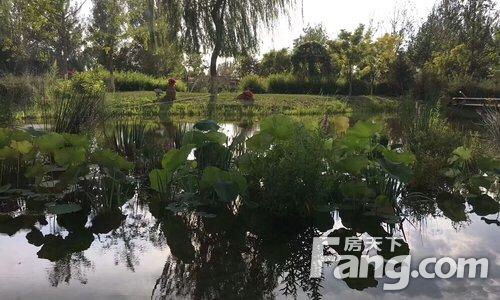 廊坊燕郊热门楼盘现场最新视频，点击查看