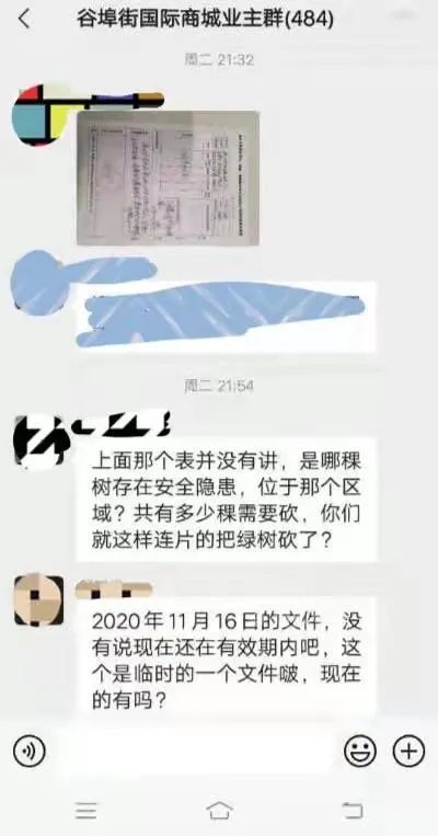 谷埠商城空中花园，20多棵大树倒下！执法人员到现场查看，吓了一跳