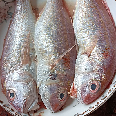 紅杉魚,紅杉魚的做法
