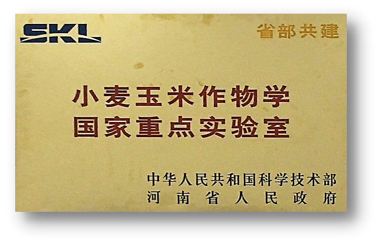 河南农业大学招聘（河南高校争创）