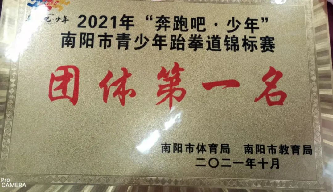 捷报！镇平县多支代表队在南阳市体育比赛中获得优异成绩