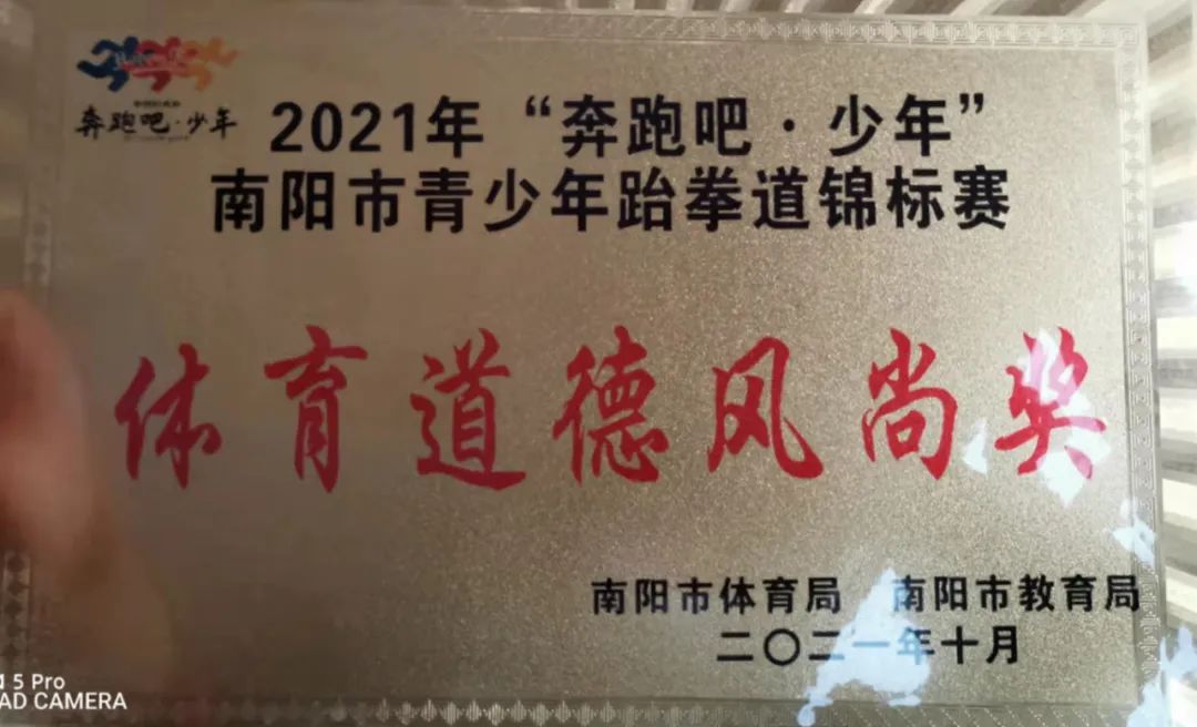 捷报！镇平县多支代表队在南阳市体育比赛中获得优异成绩