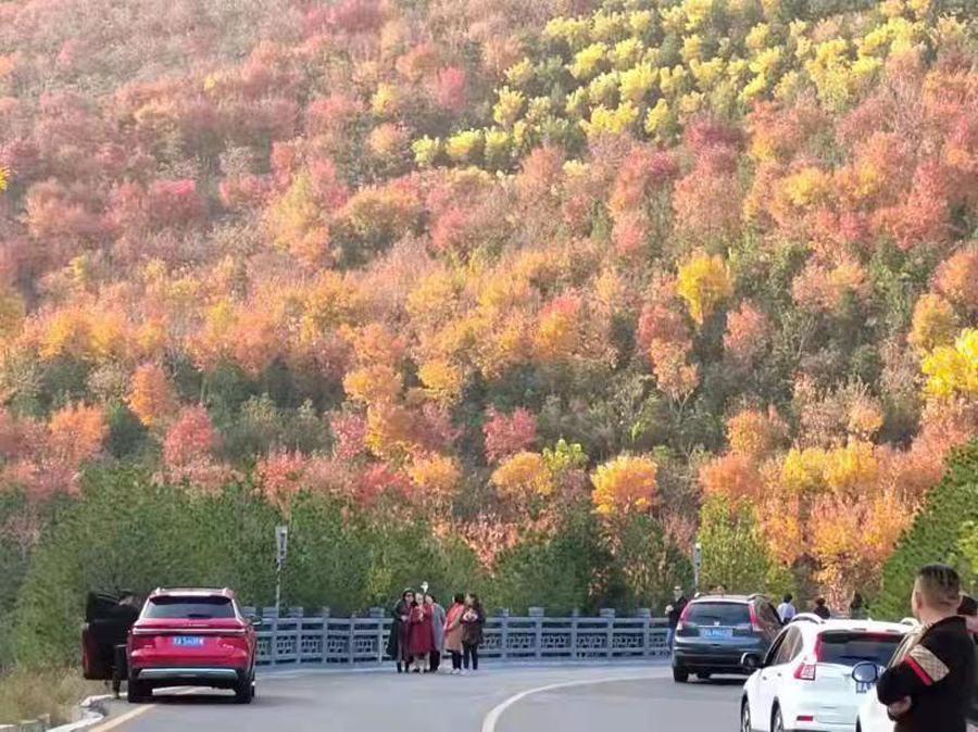 天龙山公路“红了”