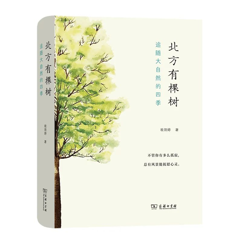 治ѣϲõ202021ӡݡʮ顱