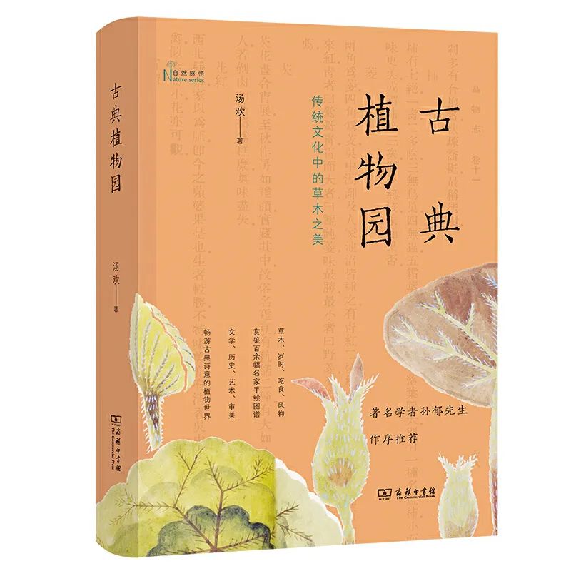治ѣϲõ202021ӡݡʮ顱