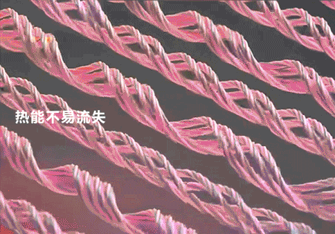 零下10℃也不怕的“光腿神器”