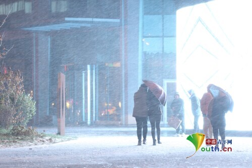 北京迎今冬初雪 行人踏雪赏景