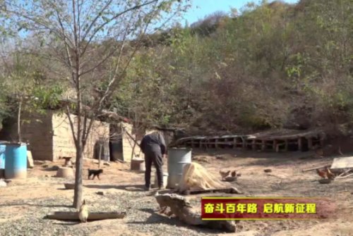 林下散養(yǎng)雞，他靠這個(gè)從倒貼不少錢后“啄”開(kāi)致富門