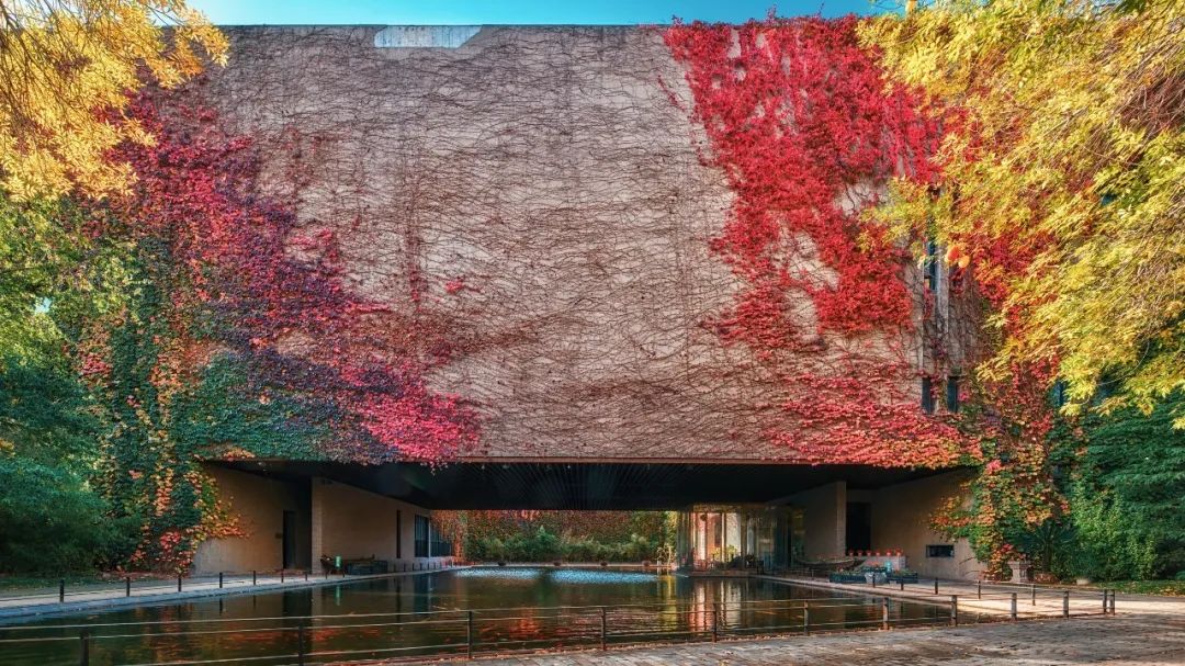 天津大学校徽（全国首个）