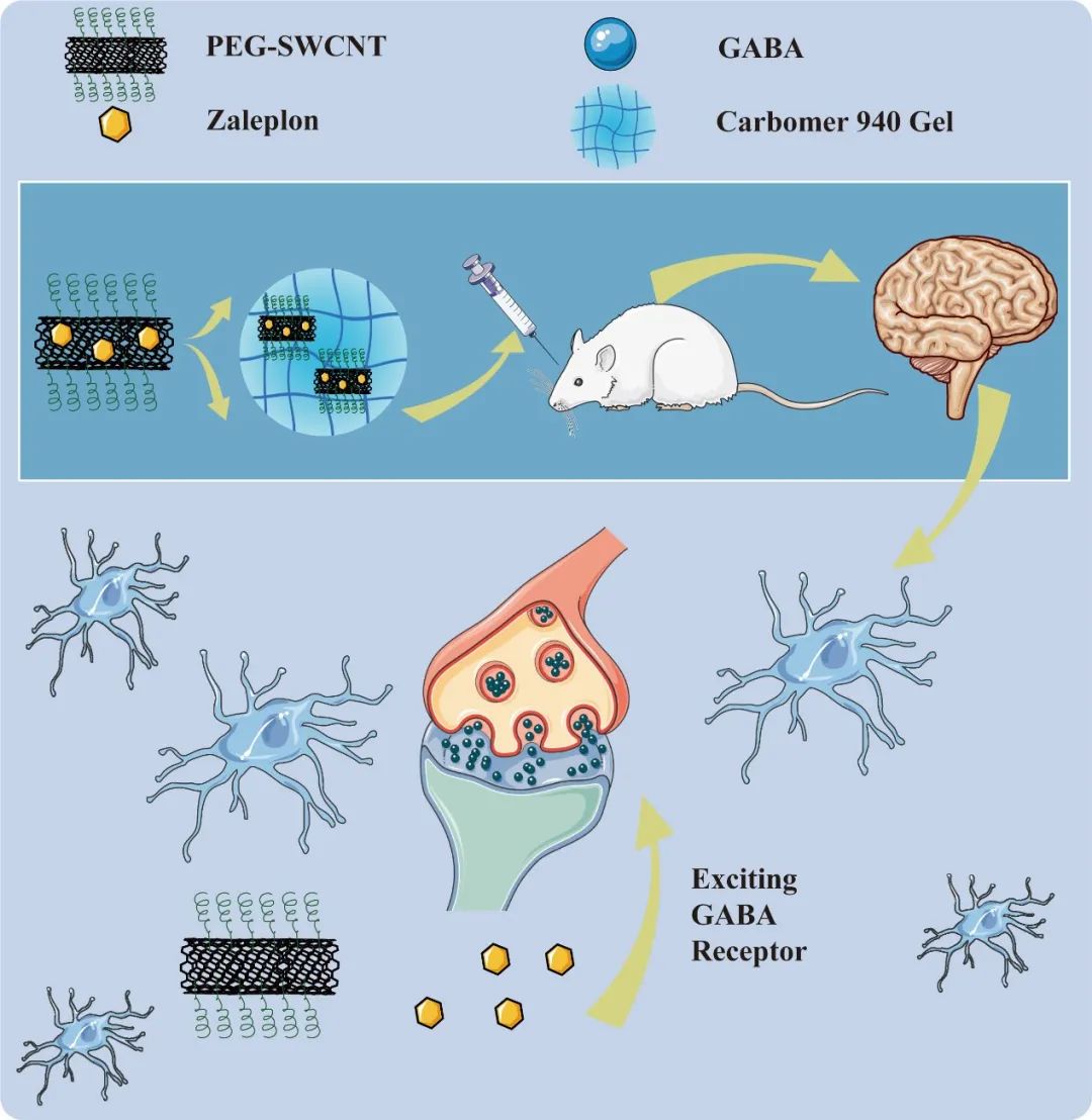 失眠？纳米技术来帮忙，看天大团队新突破！