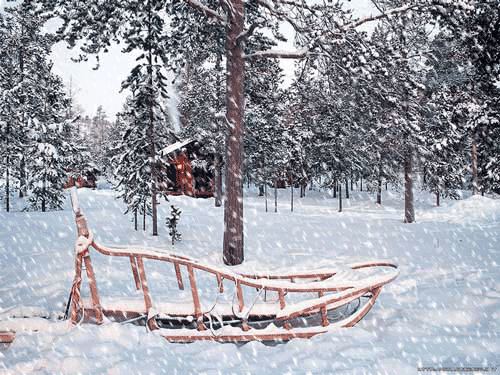 定陶的冬天（散文）