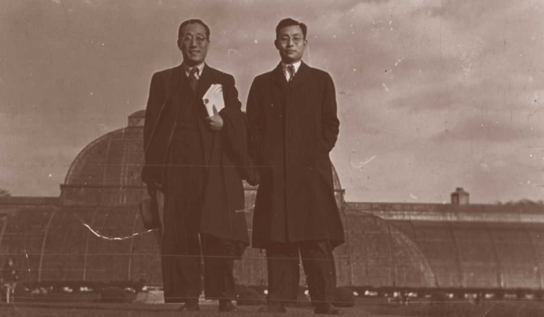 一生都在研制百姓用得起的好药！今天，怀念这位天大院士！