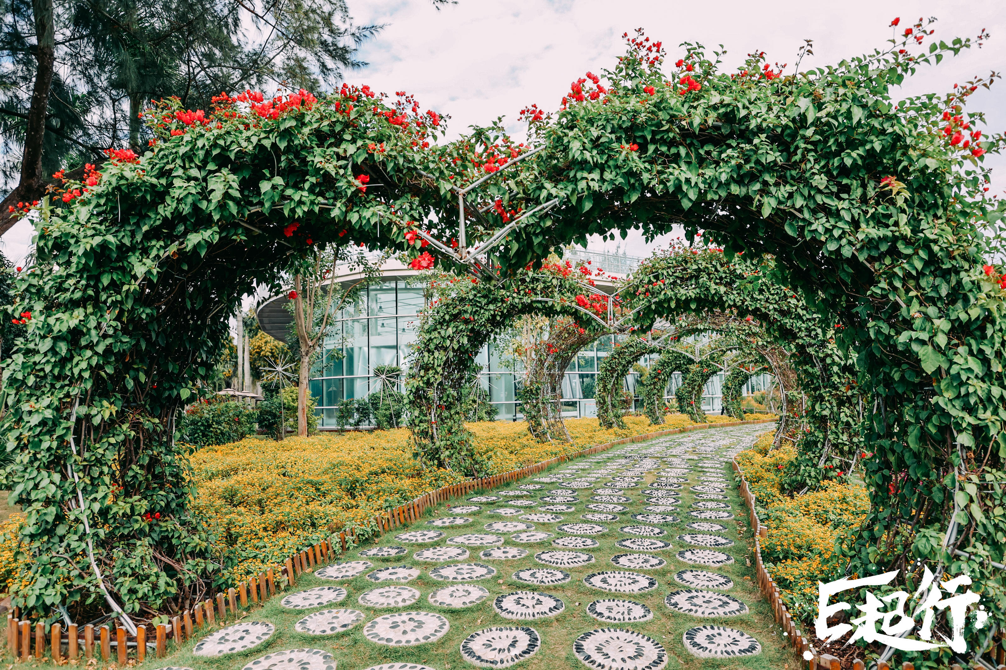 澳门用电靠机器人巡视？澳门青年如何创业？采风团到横琴了