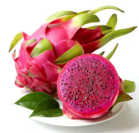 天津大学精仪学院（天）