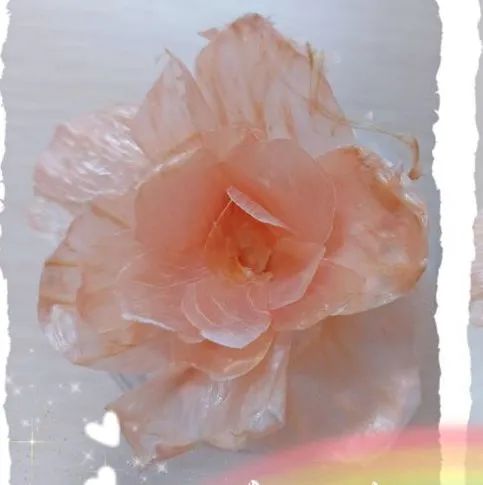 天（水）津（果）大学祝你红红“火”“火”，心想事“橙”！