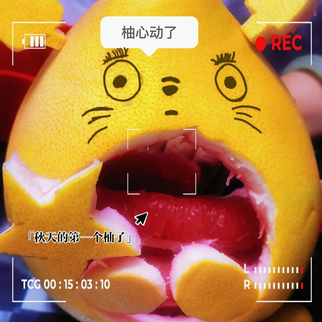 天（水）津（果）大学祝你红红“火”“火”，心想事“橙”！