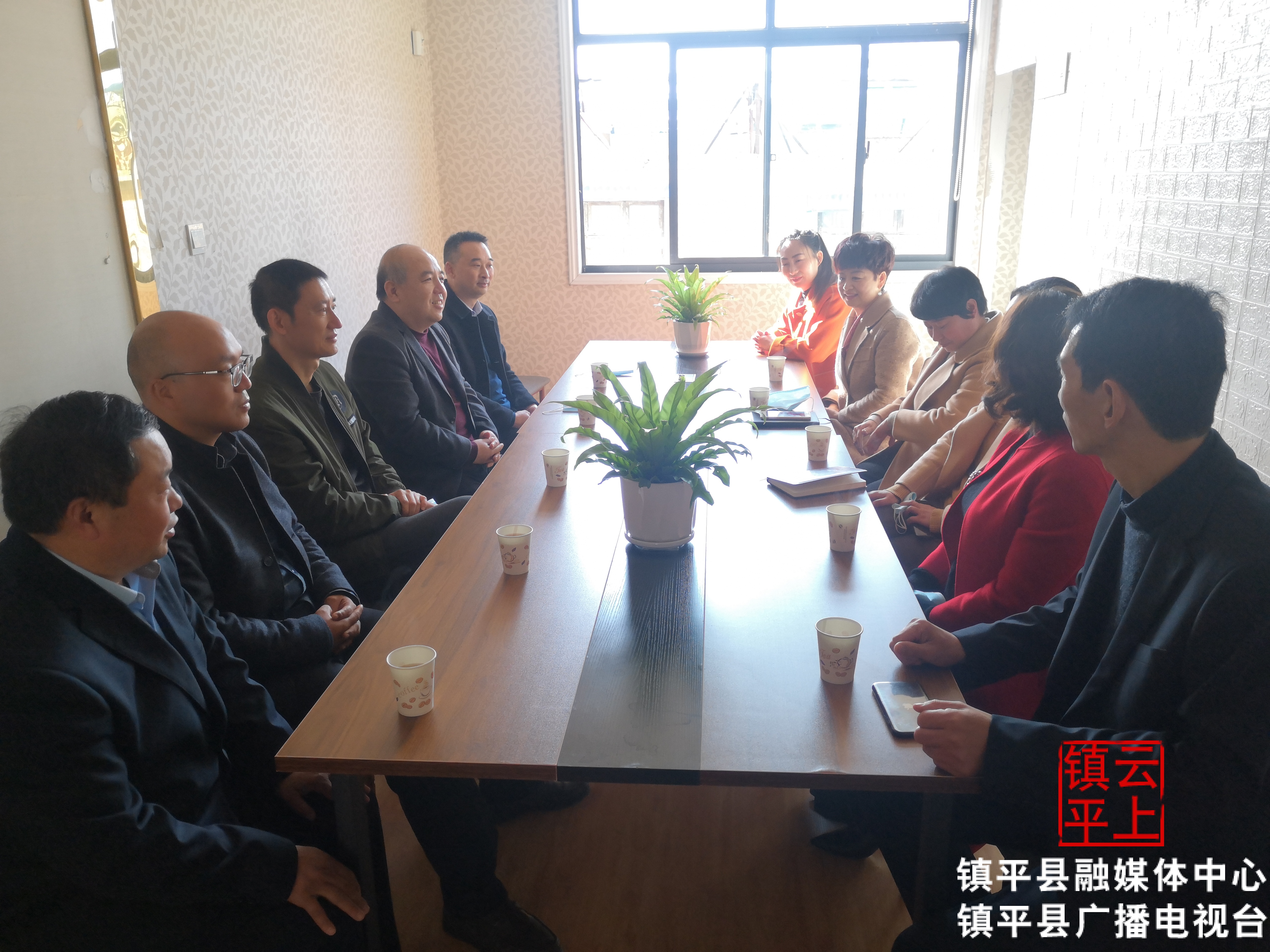 镇平县社会心理协会揭牌成立