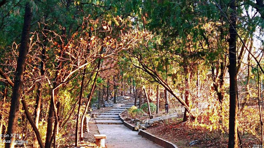 城里风扫落叶，山里暖阳高照，走进山中，独享一段闲散静美时光