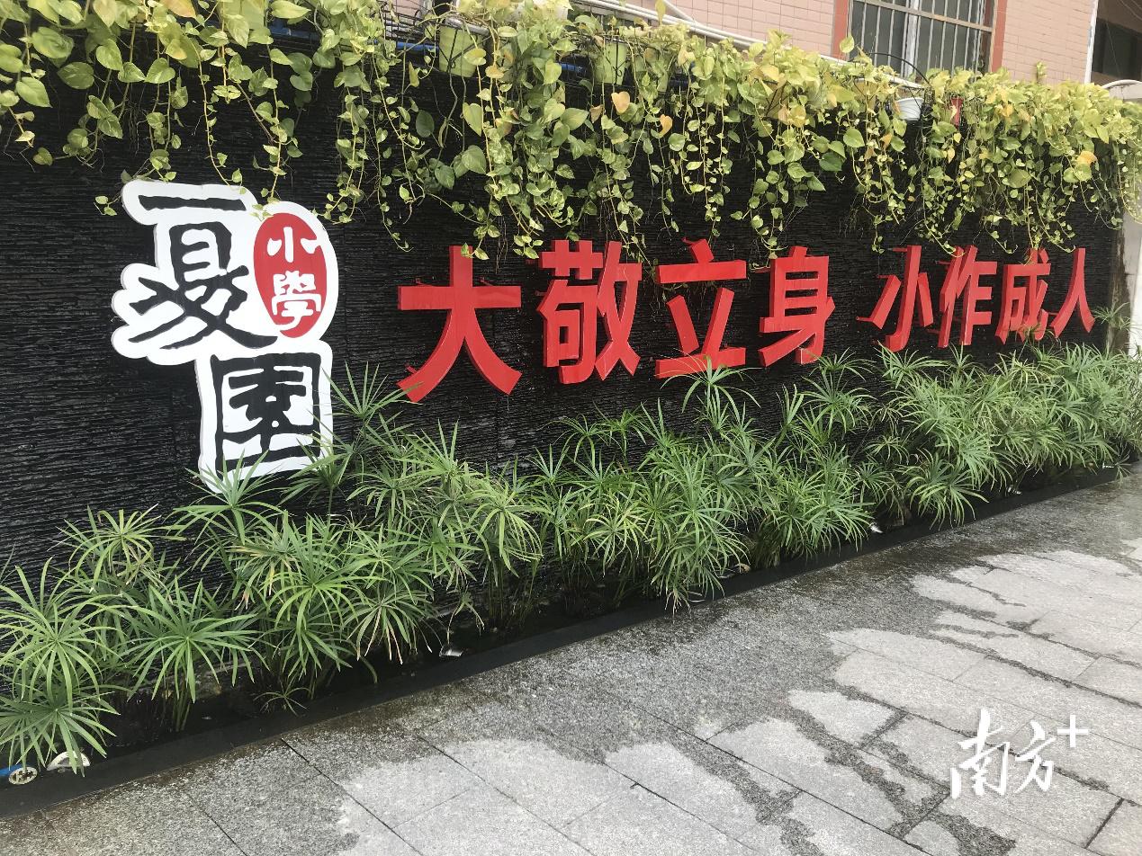 廣州市黃埔區(qū)夏園小學(xué):發(fā)揚大敬精神(圖3) 廣州市黃埔區(qū)夏園小學(xué):發(fā)揚大敬精神(圖3)