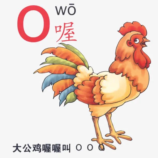 拼音“o”读“欧”还是“窝”？专业解读来了