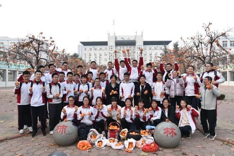 昌邑市文山中學(xué)柿子節(jié):柿果飄香豐收季(圖4) 昌邑市文山中學(xué)柿子節(jié):柿果飄香豐收季(圖4)