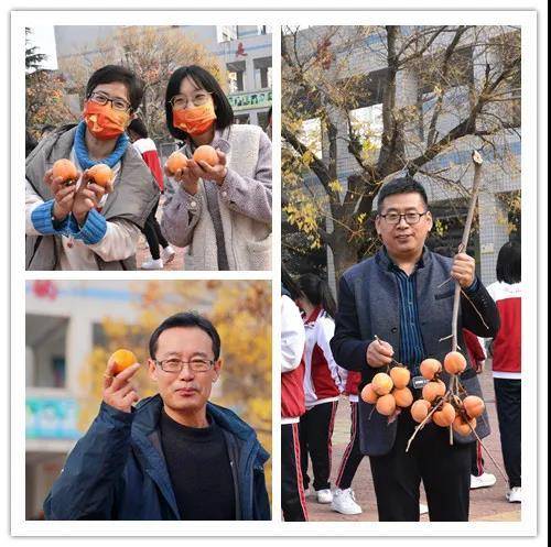 昌邑市文山中學(xué)柿子節(jié):柿果飄香豐收季(圖5) 昌邑市文山中學(xué)柿子節(jié):柿果飄香豐收季(圖5)