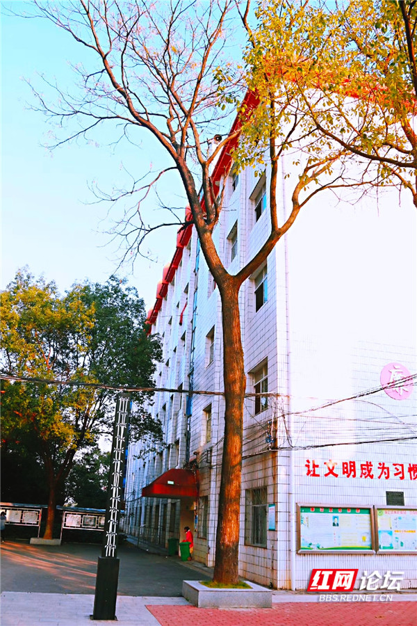 漂亮的学校,绿茵茵的操场,高大气派的教学楼