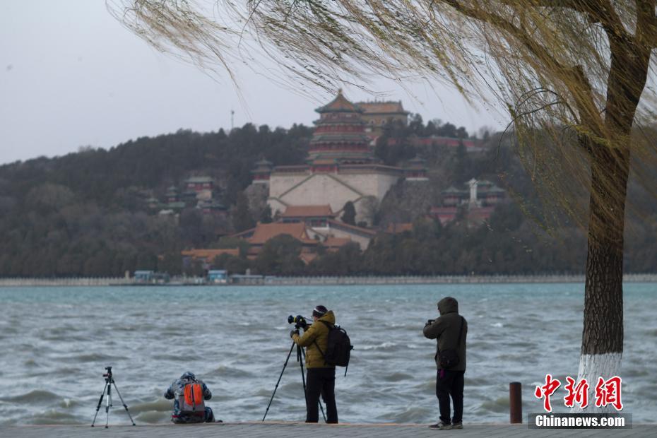 北京奥运会火炬多久结束(途经长城、颐和园，火炬传递开启！这些亮点你get了吗？)