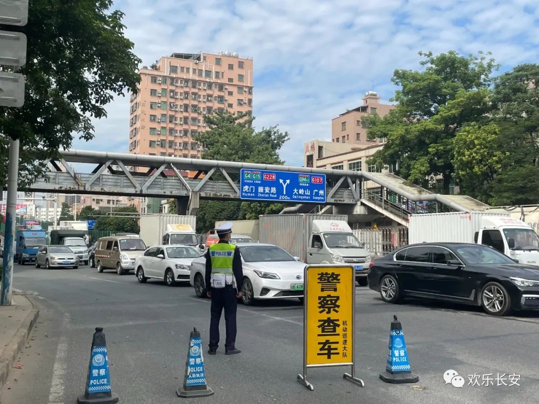 东莞粤S牌照车辆违章查询方法与处理指南