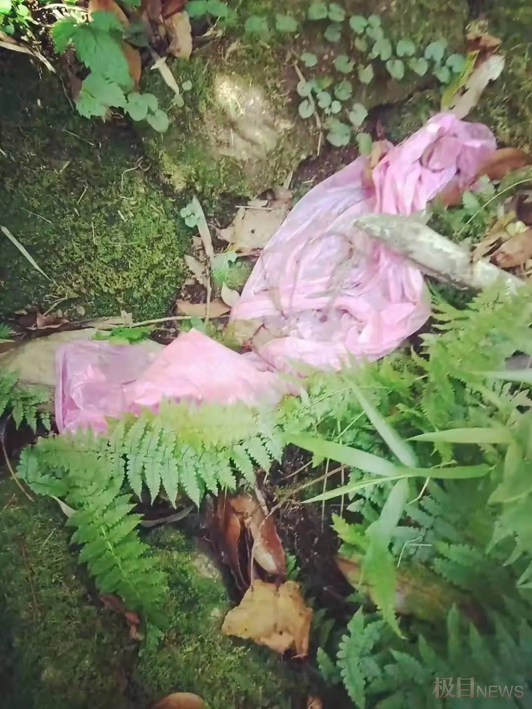 4名地质人员为何在哀牢山遭遇不测