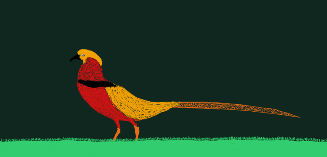 看完这条，我想去北大当保安……