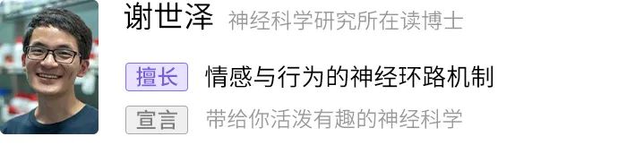 临死前，大脑干了什么？人类第一次看到了死亡瞬间