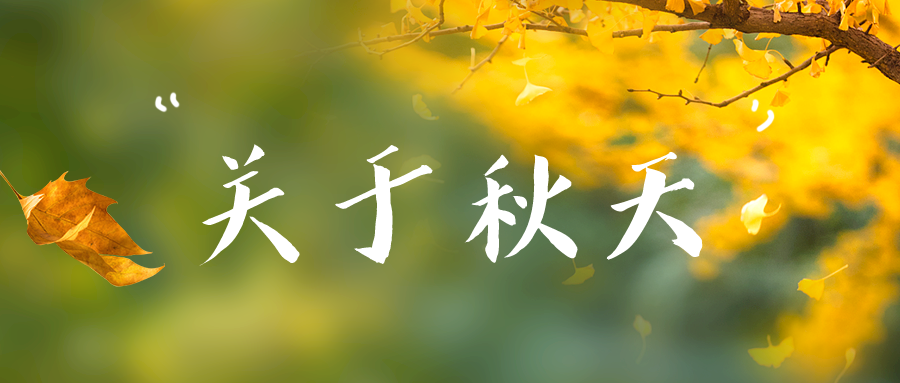 美呆了！校园秋日美景，第二弹~