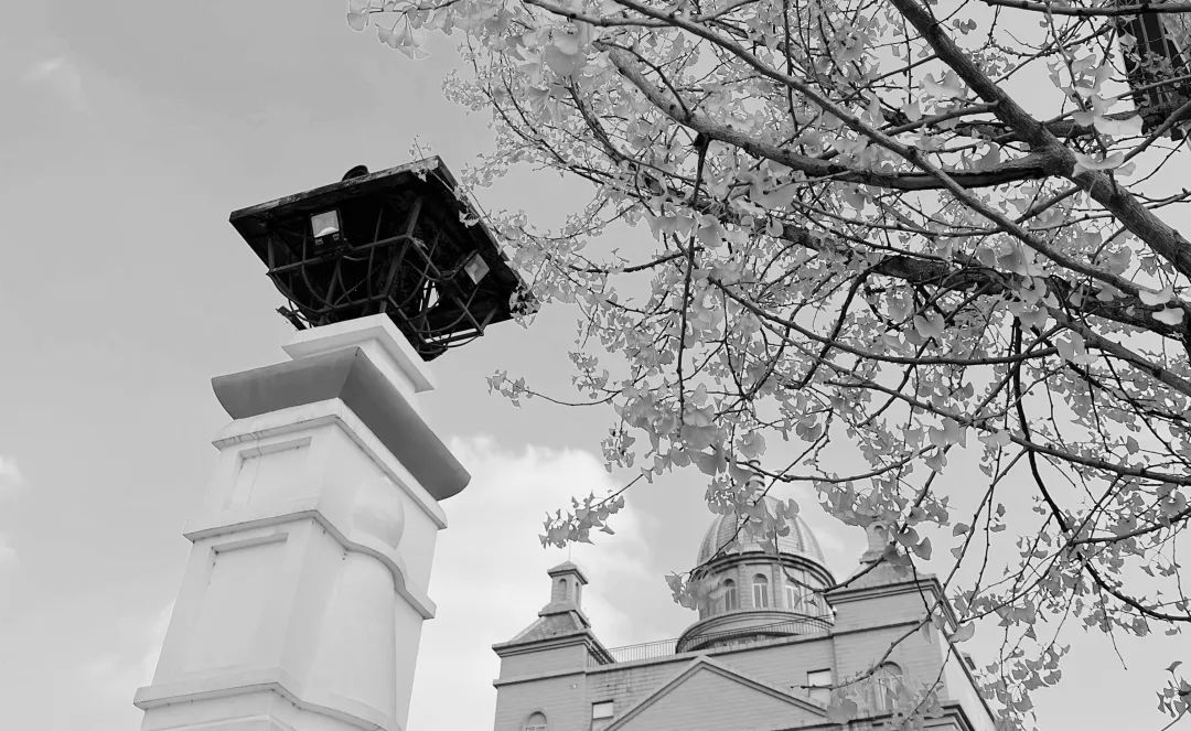 美呆了！校园秋日美景，第二弹~