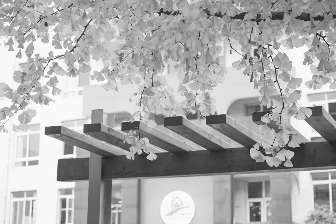 美呆了！校园秋日美景，第二弹~