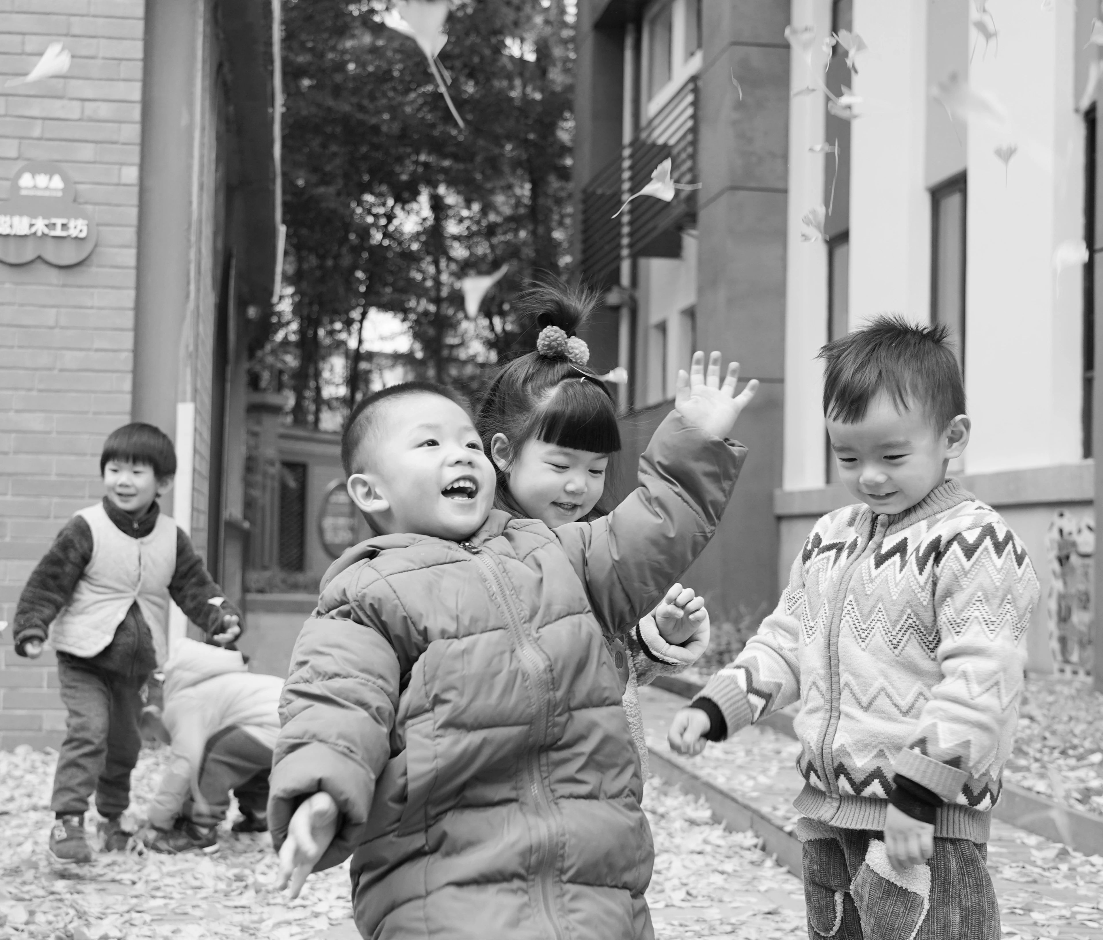 美呆了！校园秋日美景，第二弹~