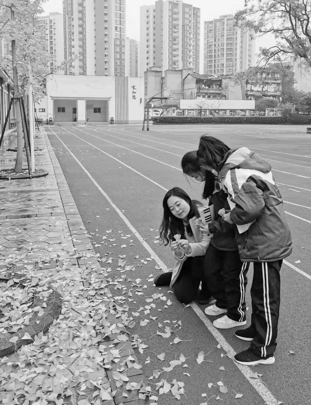 美呆了！校园秋日美景，第二弹~