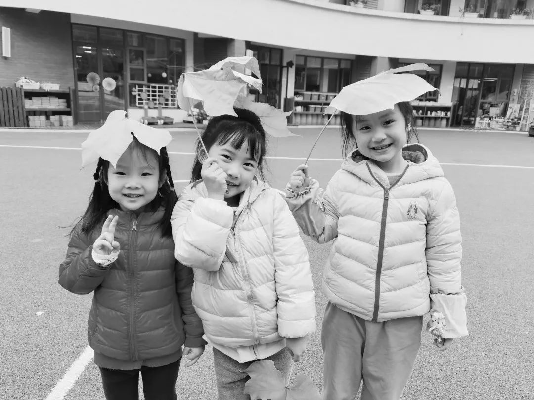 美呆了！校园秋日美景，第二弹~